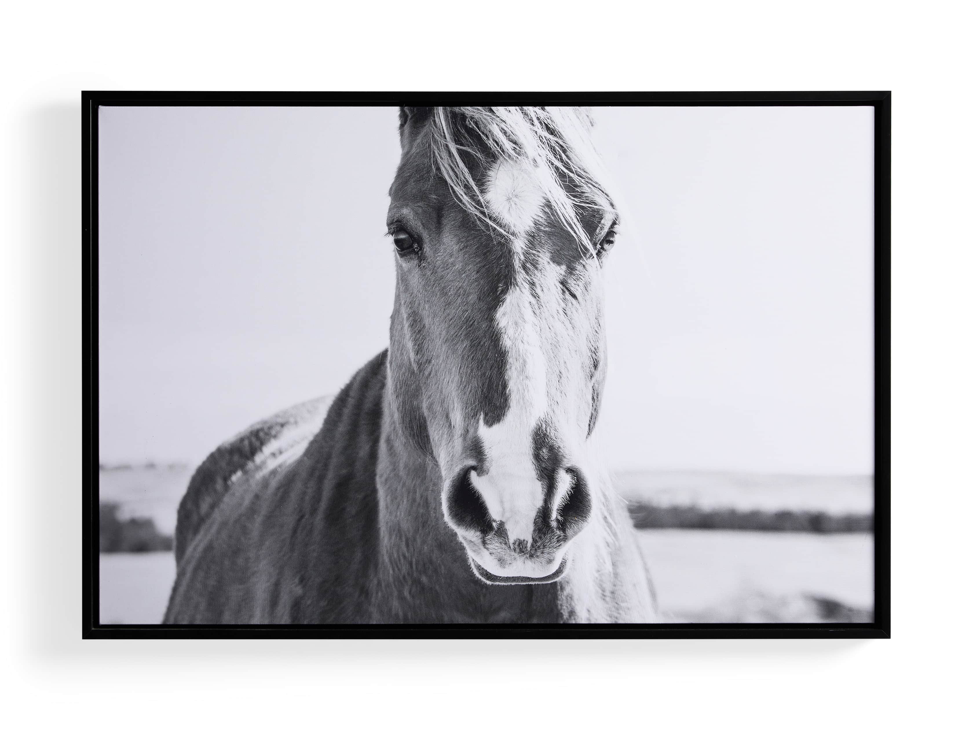 Caballo Framed Print, slide 3 of 3