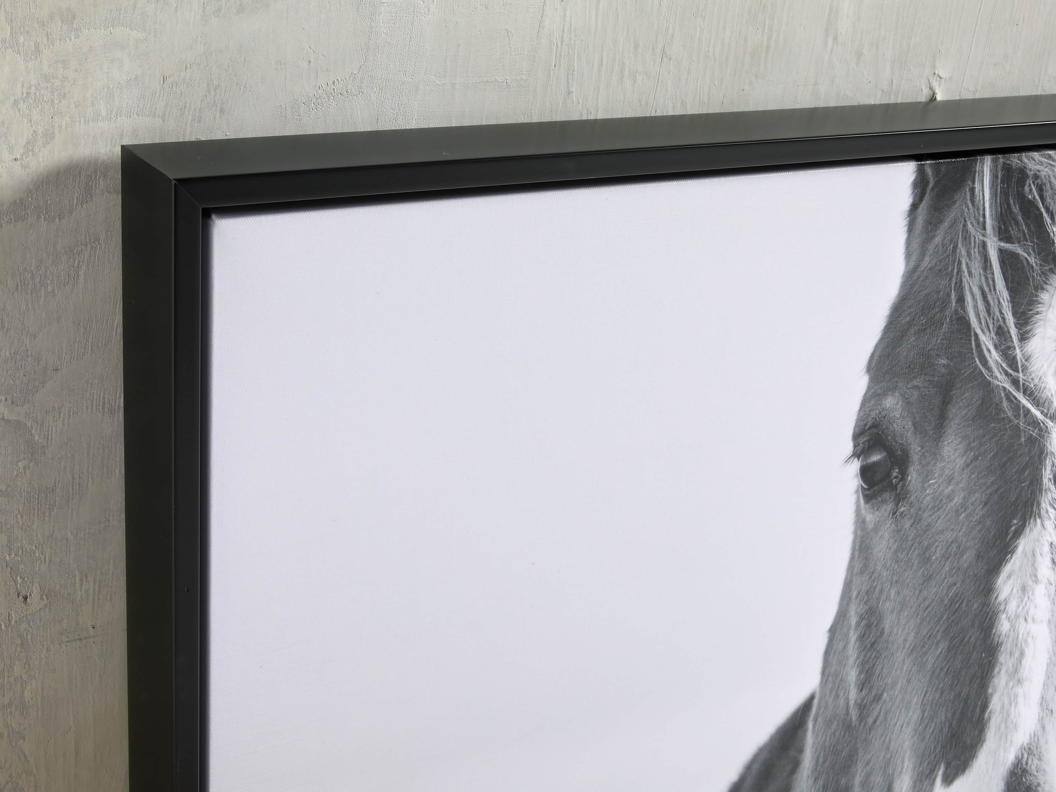 Caballo Framed Print, slide 2 of 3
