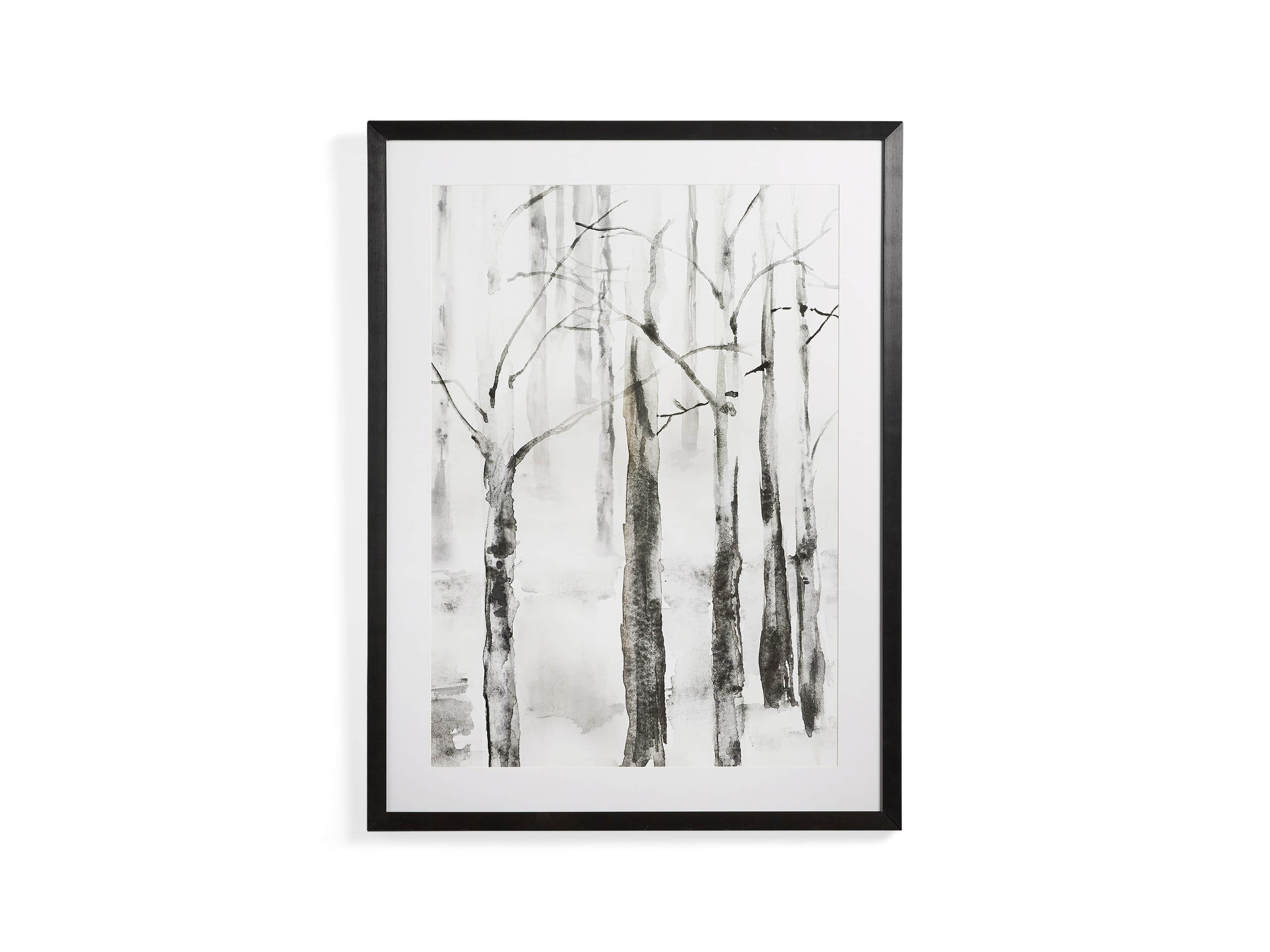 Frosted Birch Trees 30" x 40" Framed Print