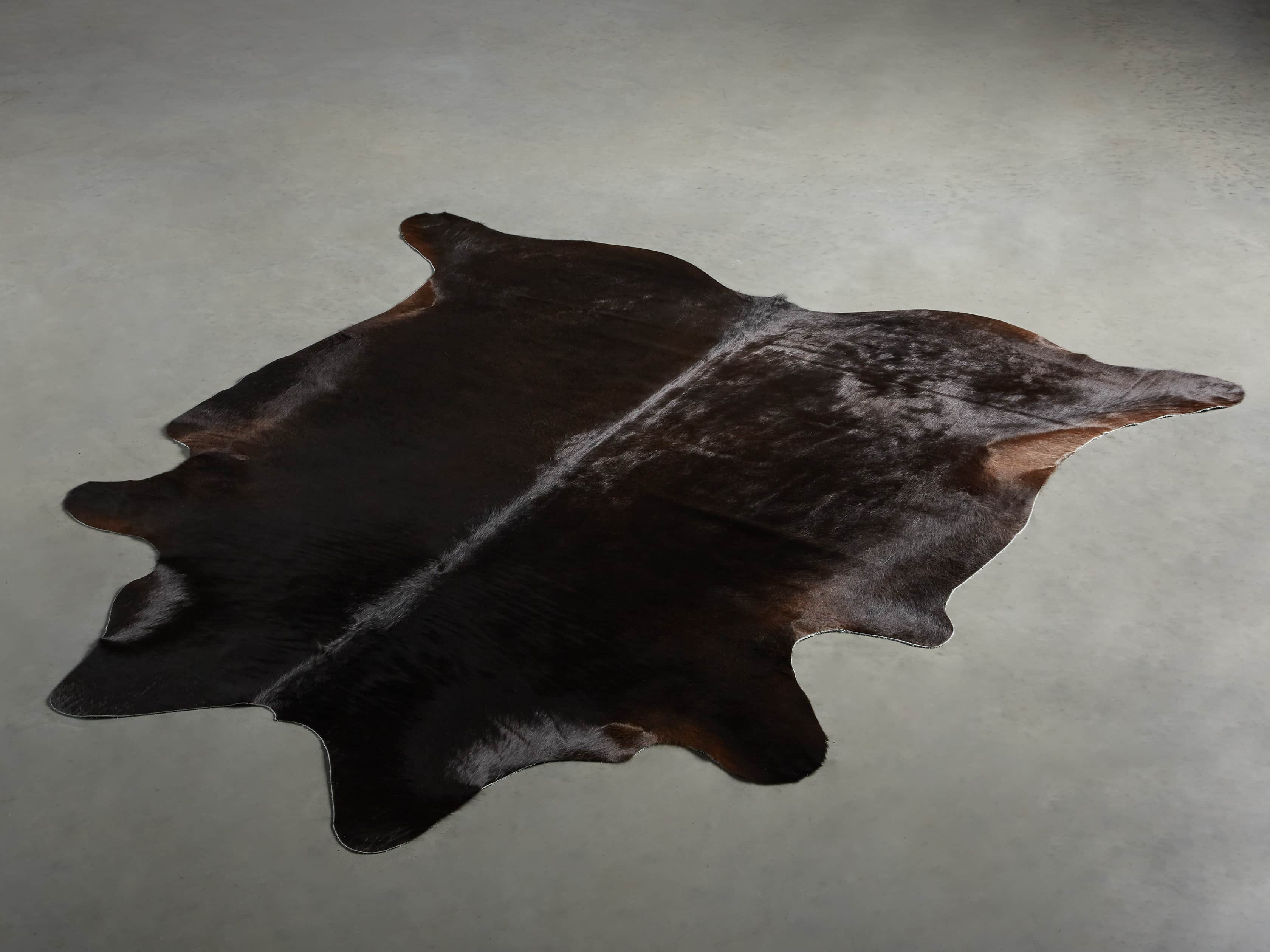 Black Angus Hair on Hide, slide 3 of 5