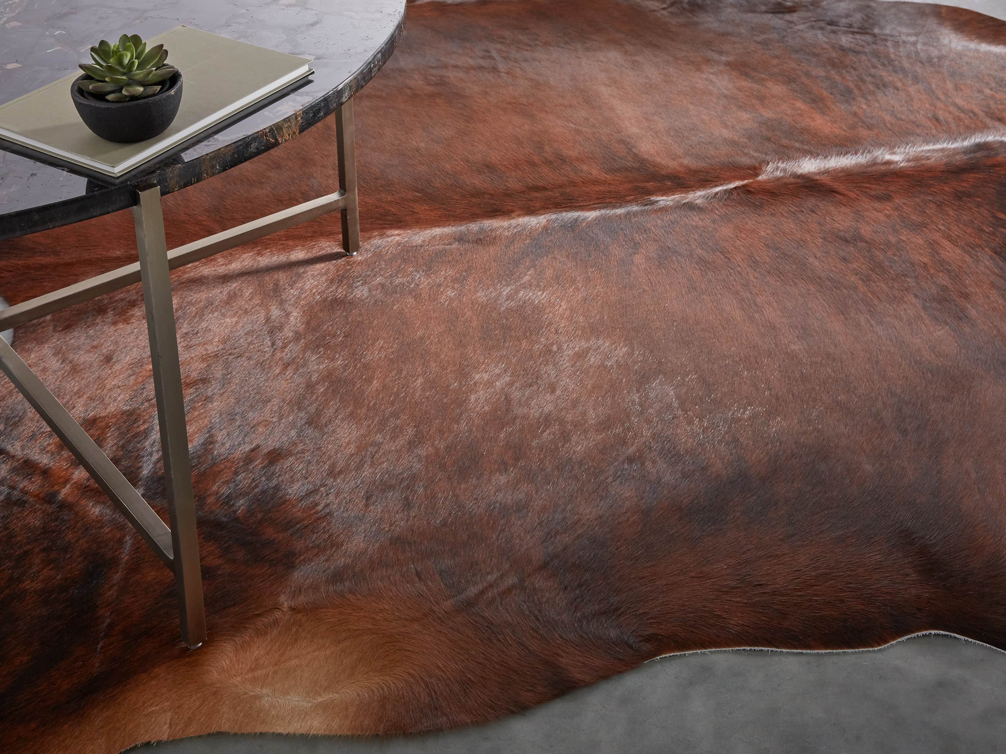 Brindle Hide, slide 2 of 6
