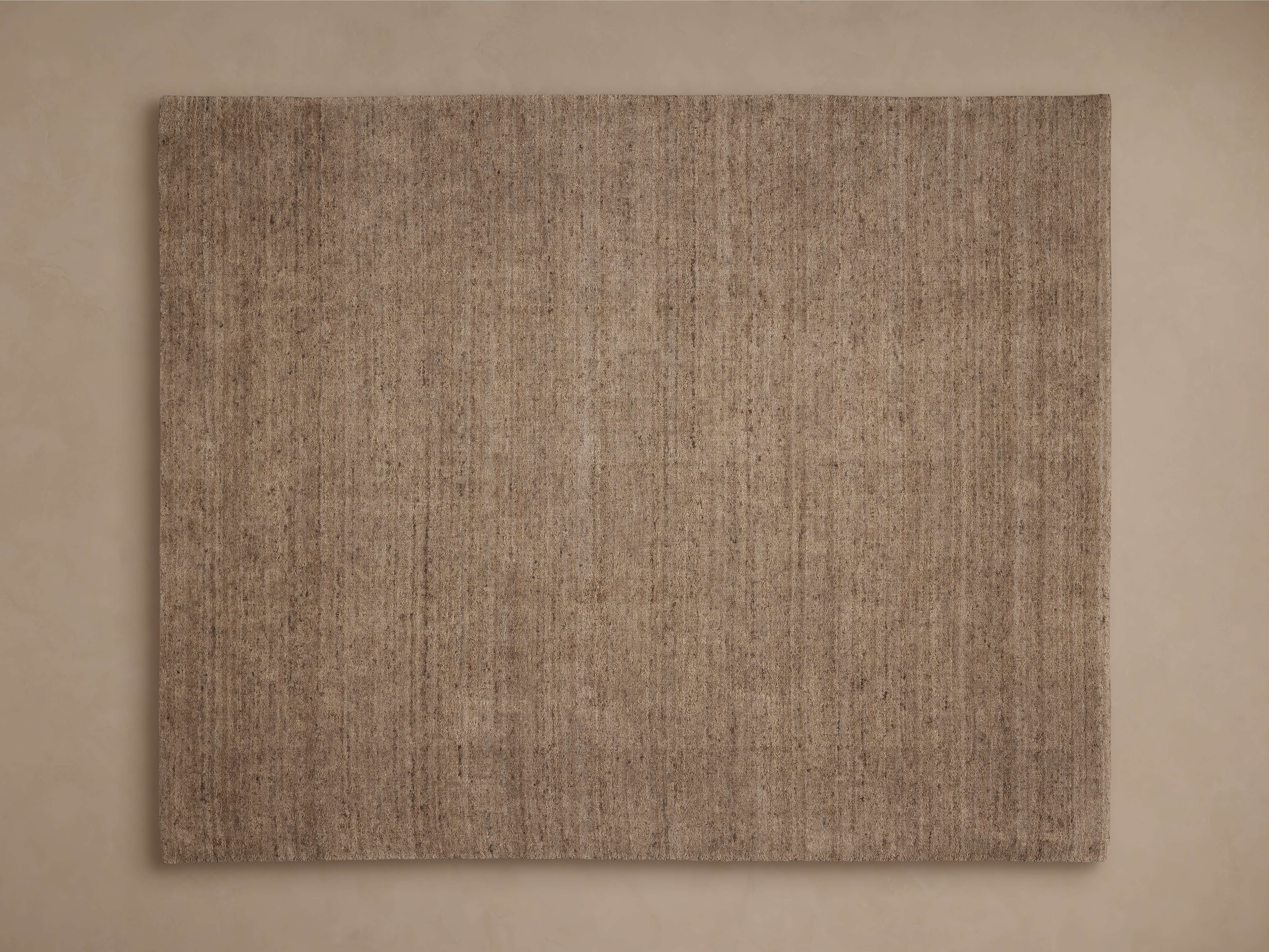 Farris Rug in Mocha