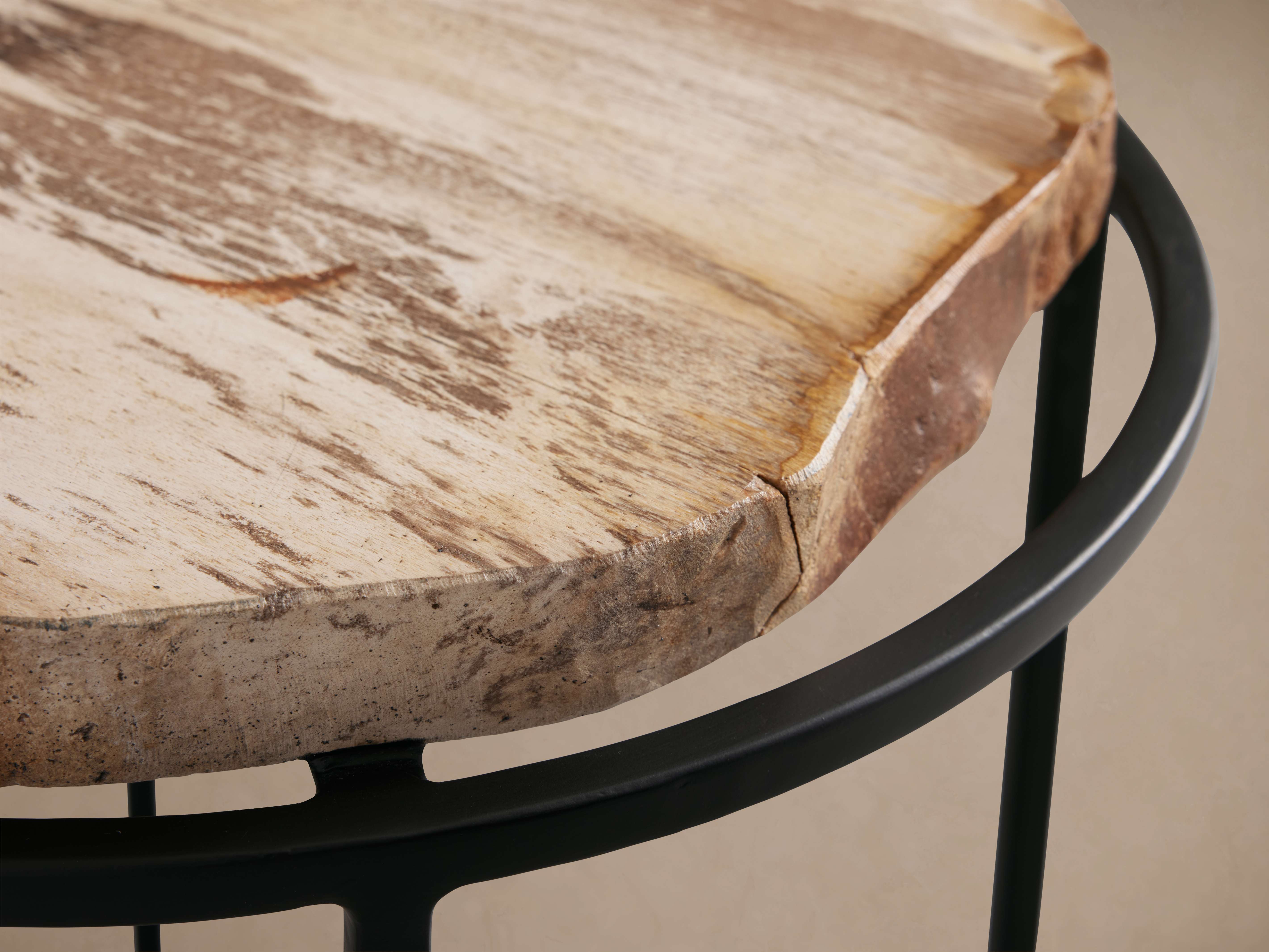 Arhaus Petrified Side Table - Thumbnail 4