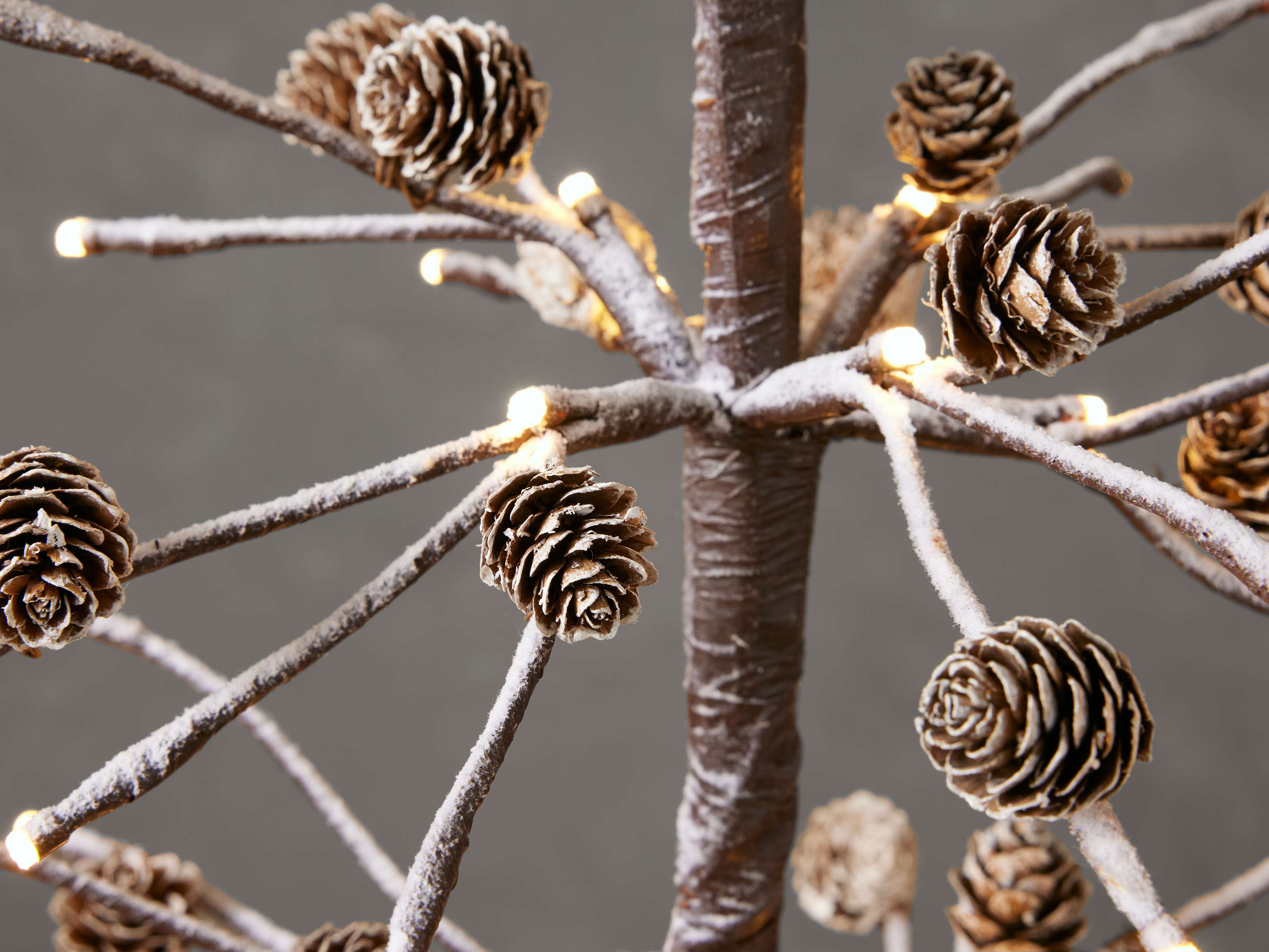 Pinecone Twig Tree