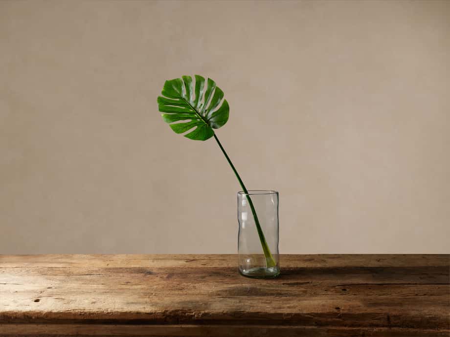 Faux Split Leaf Philo Stem In Plastic 34" In Green | Arhaus