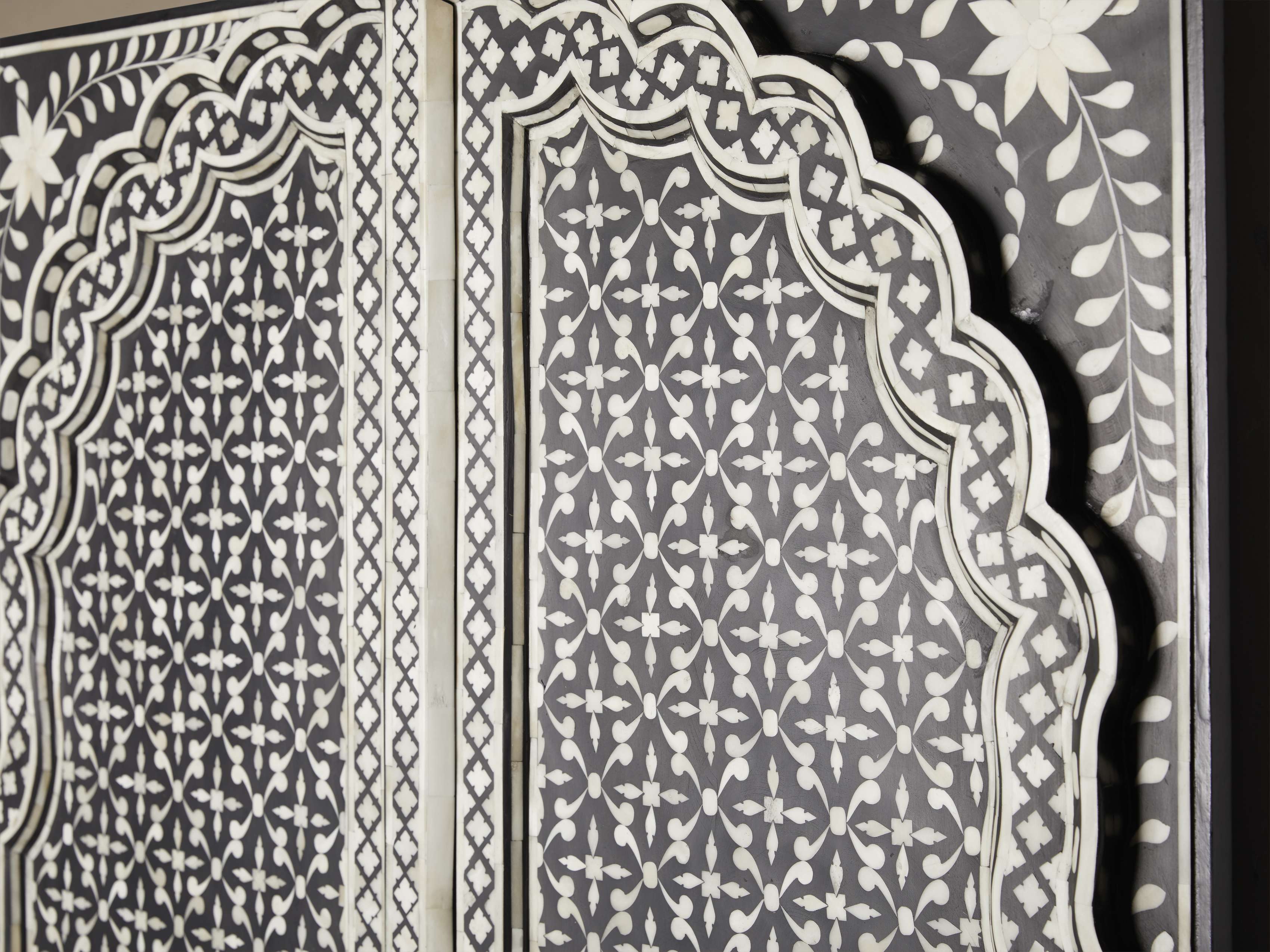 Aravali Inlay Door