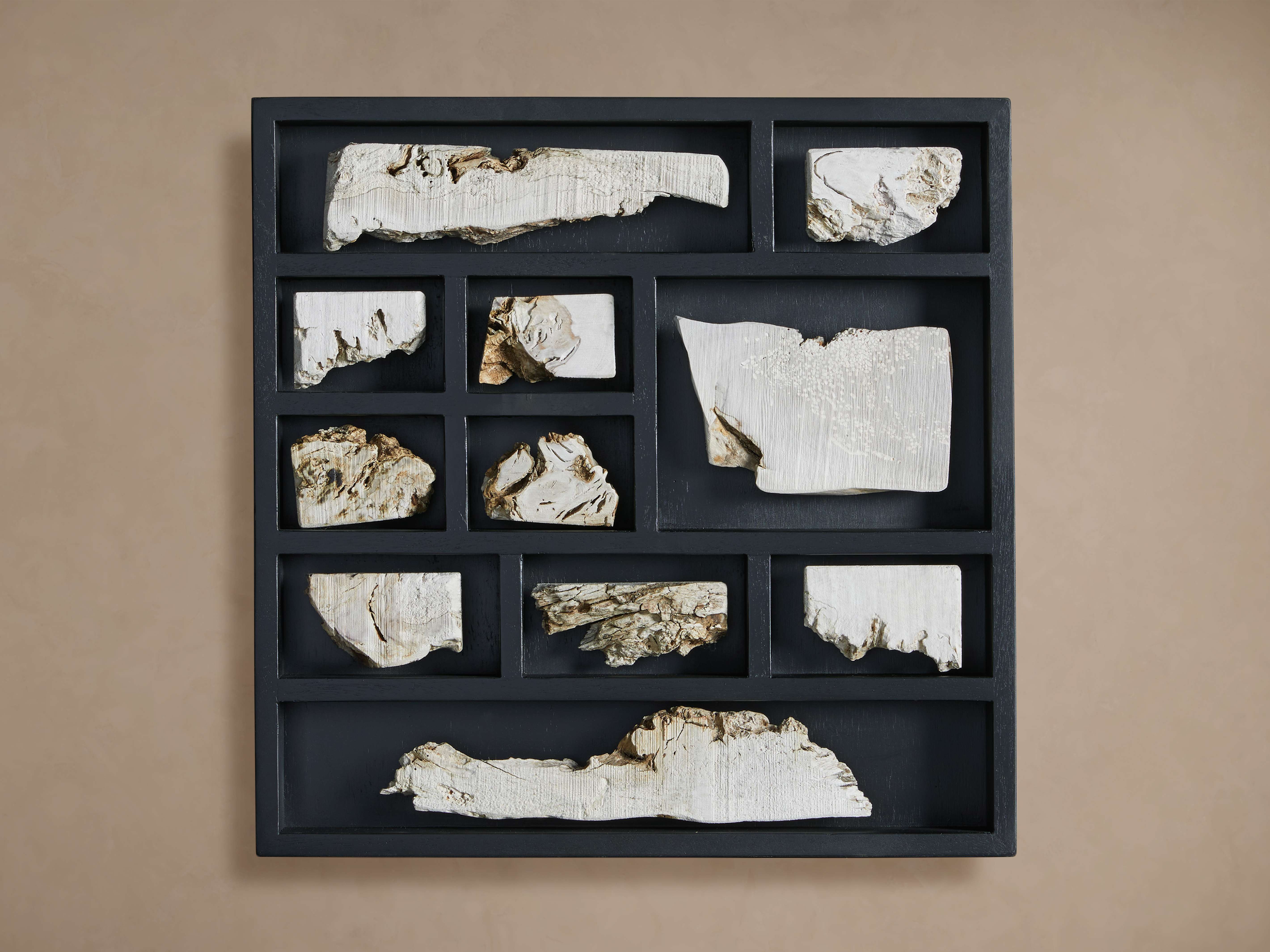 Burl Sections II Wall Art