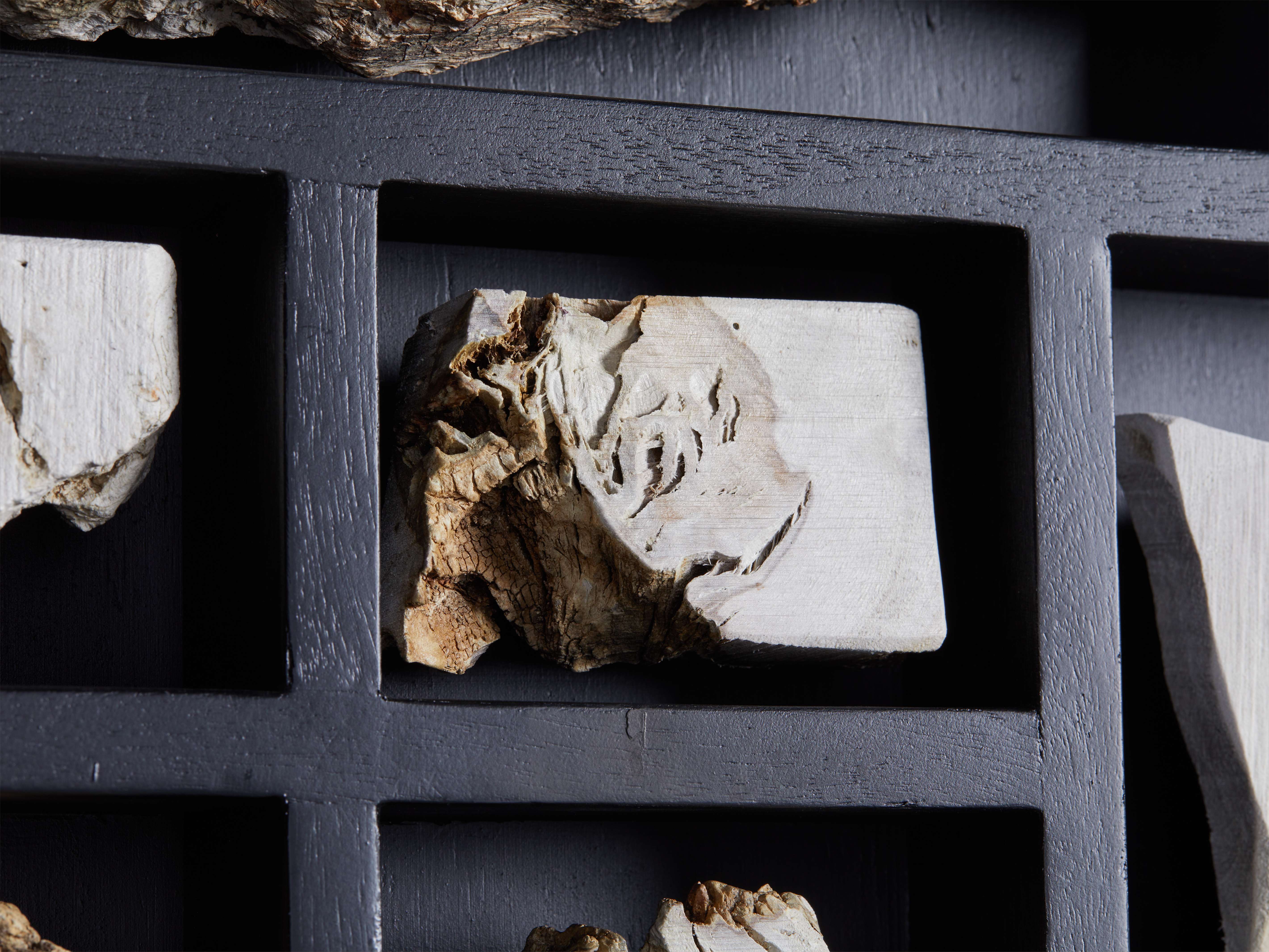 Burl Sections II Wall Art - Thumbnail 3