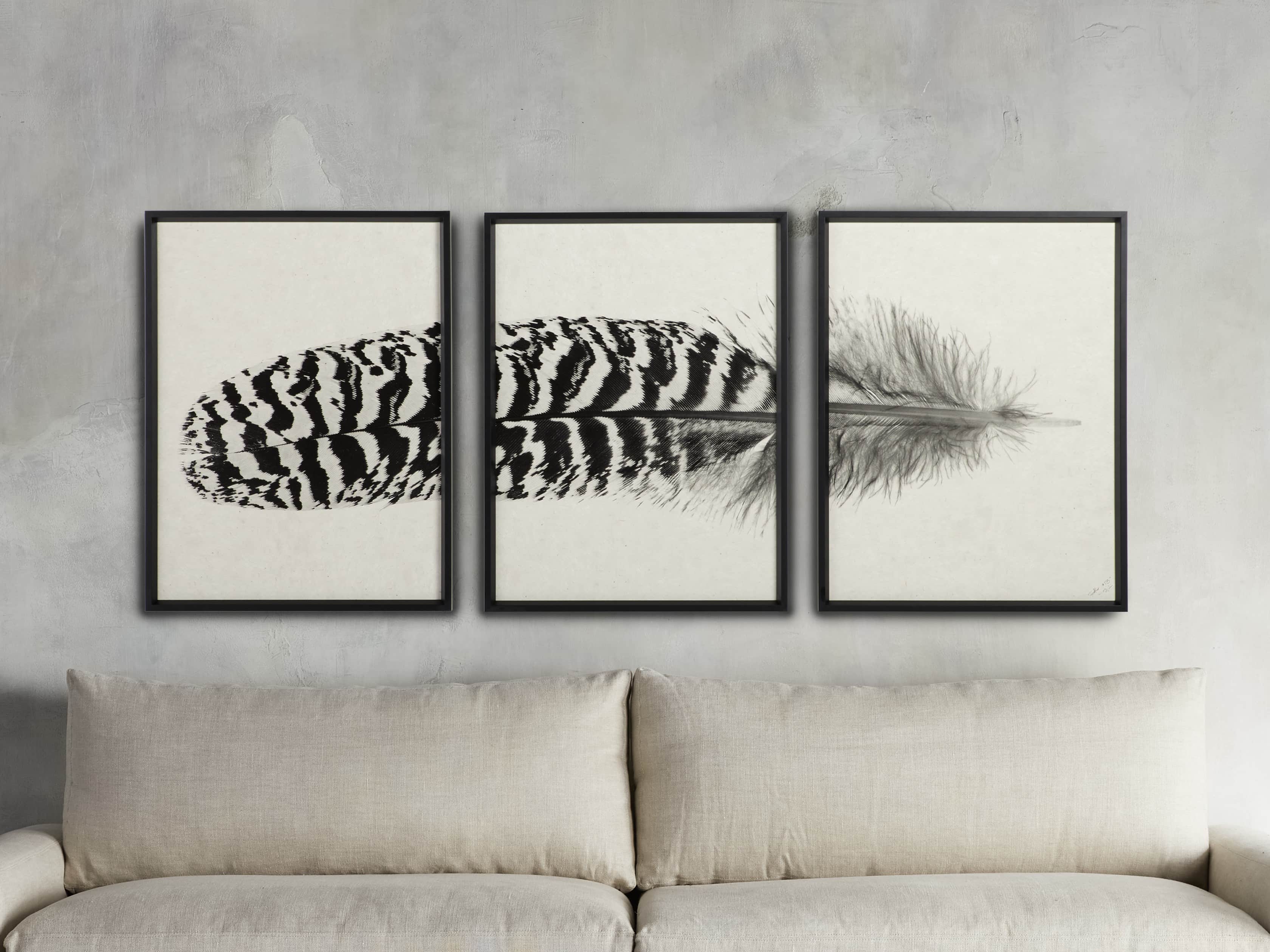 Arhaus Peacock Feather Framed Print - Thumbnail 2