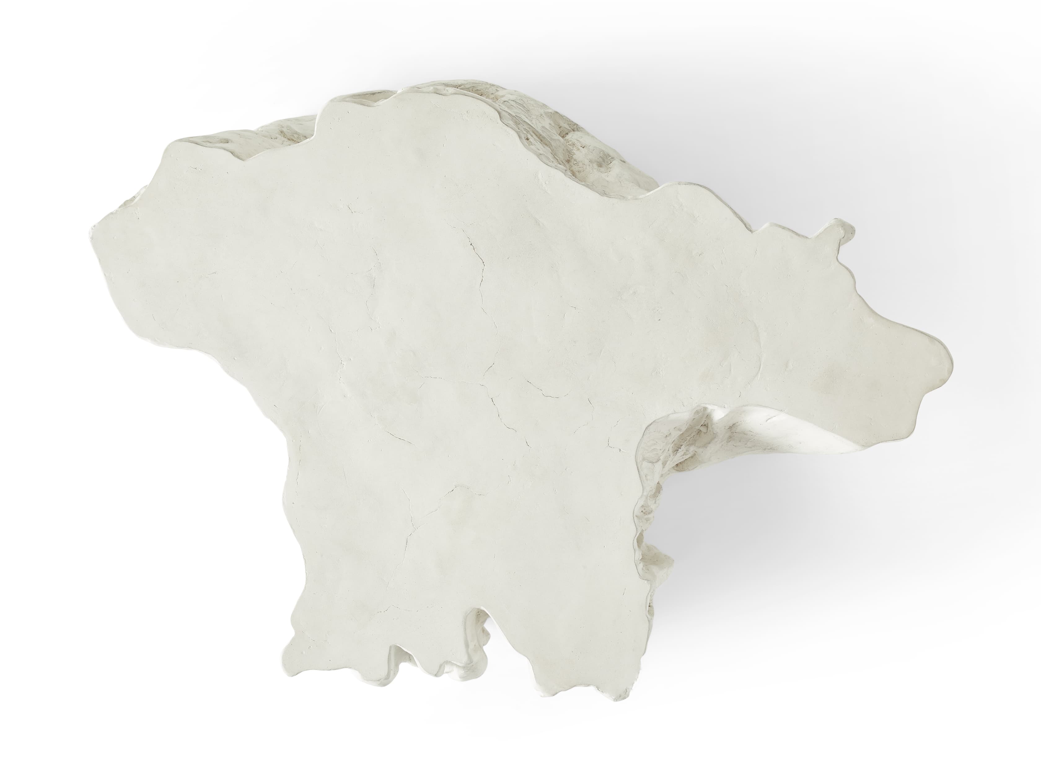 Arhaus Root Coffee Table