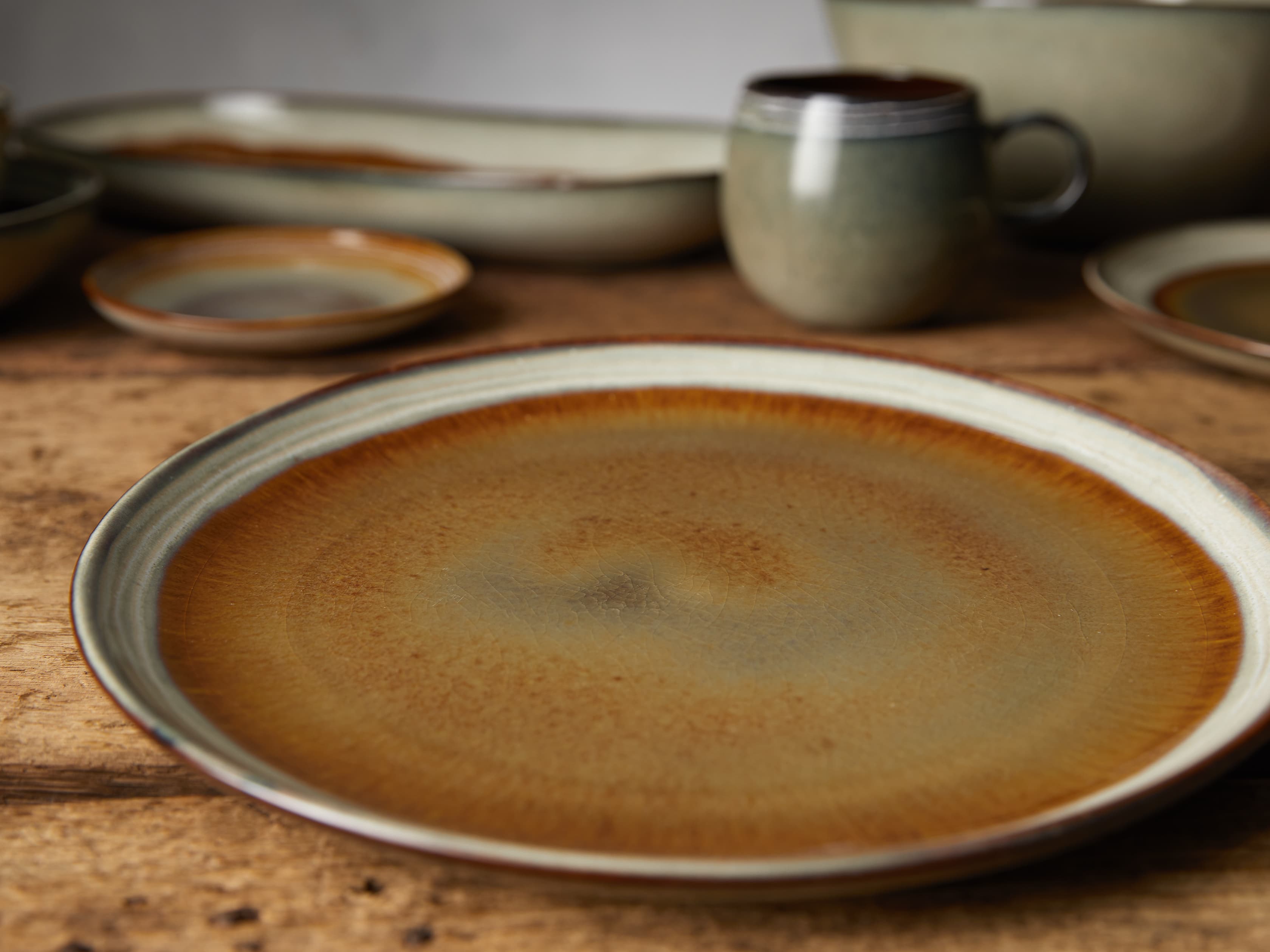 Canyon Dinner Plates (Set of 4)