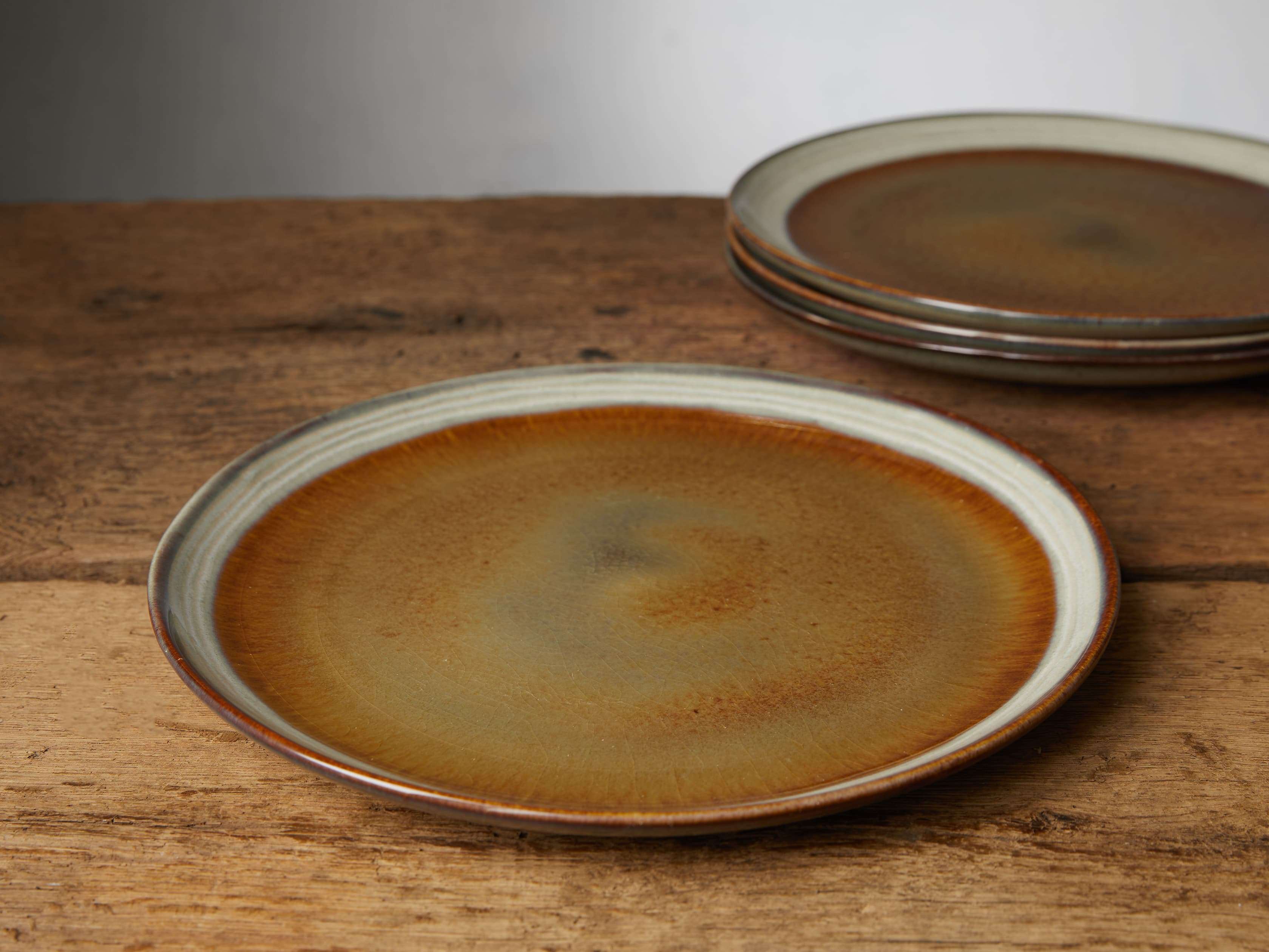 Canyon Dinner Plates (Set of 4)