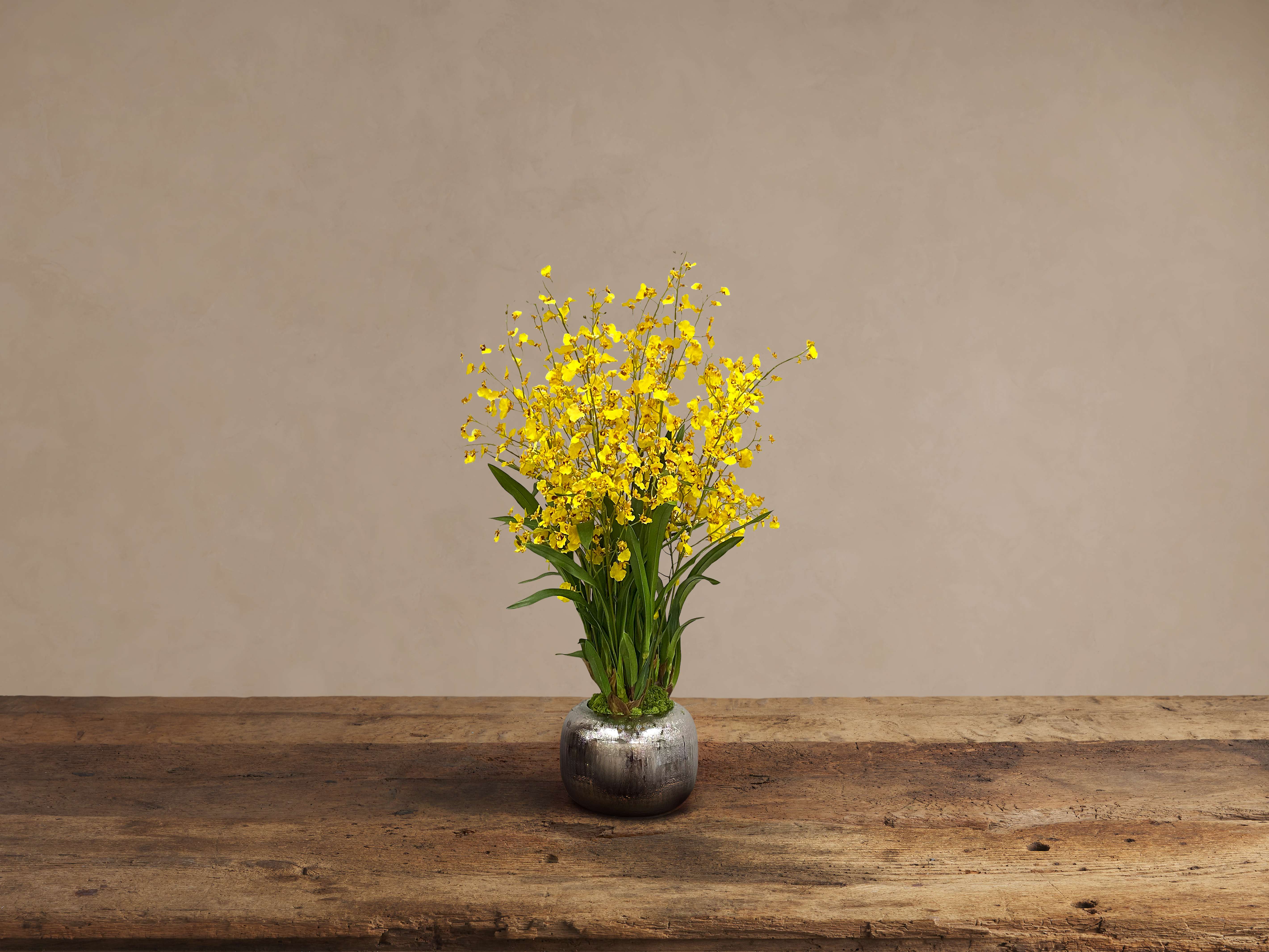 Faux Dancing Orchid in Artisanal in Pot