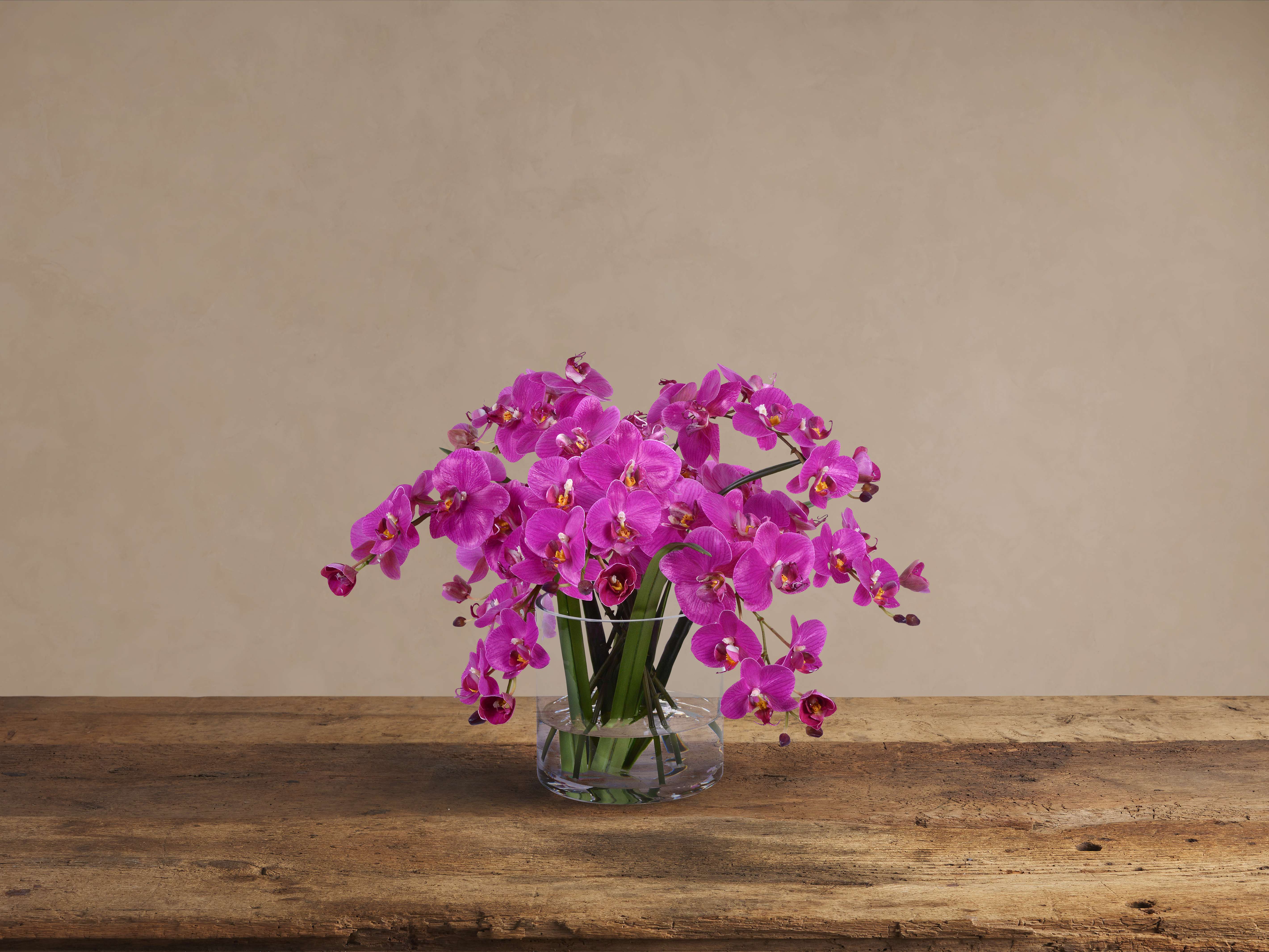 Faux Fuchsia Phalaenopsis in Glass – Arhaus