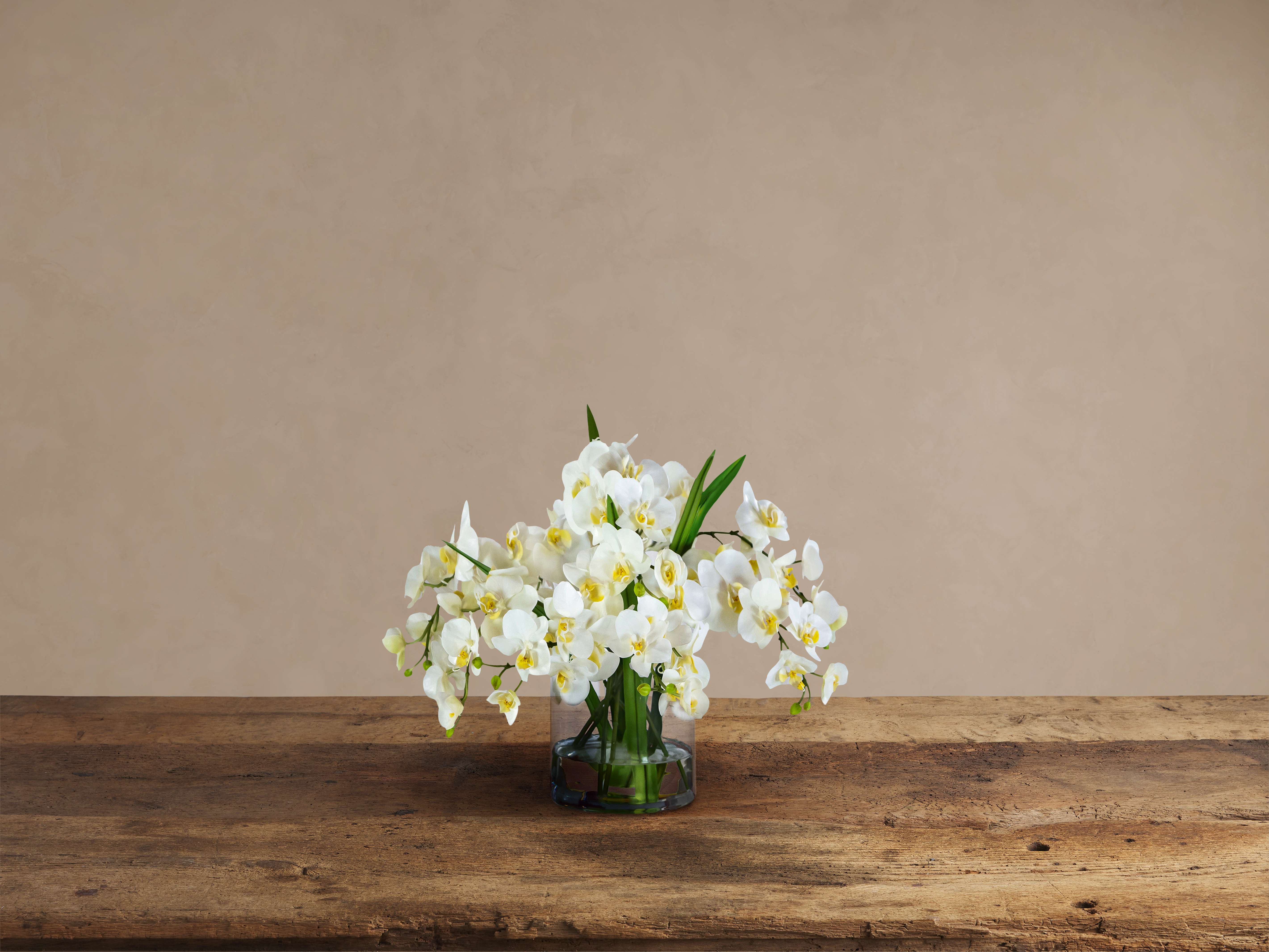 Faux White Phalaenopsis in Glass