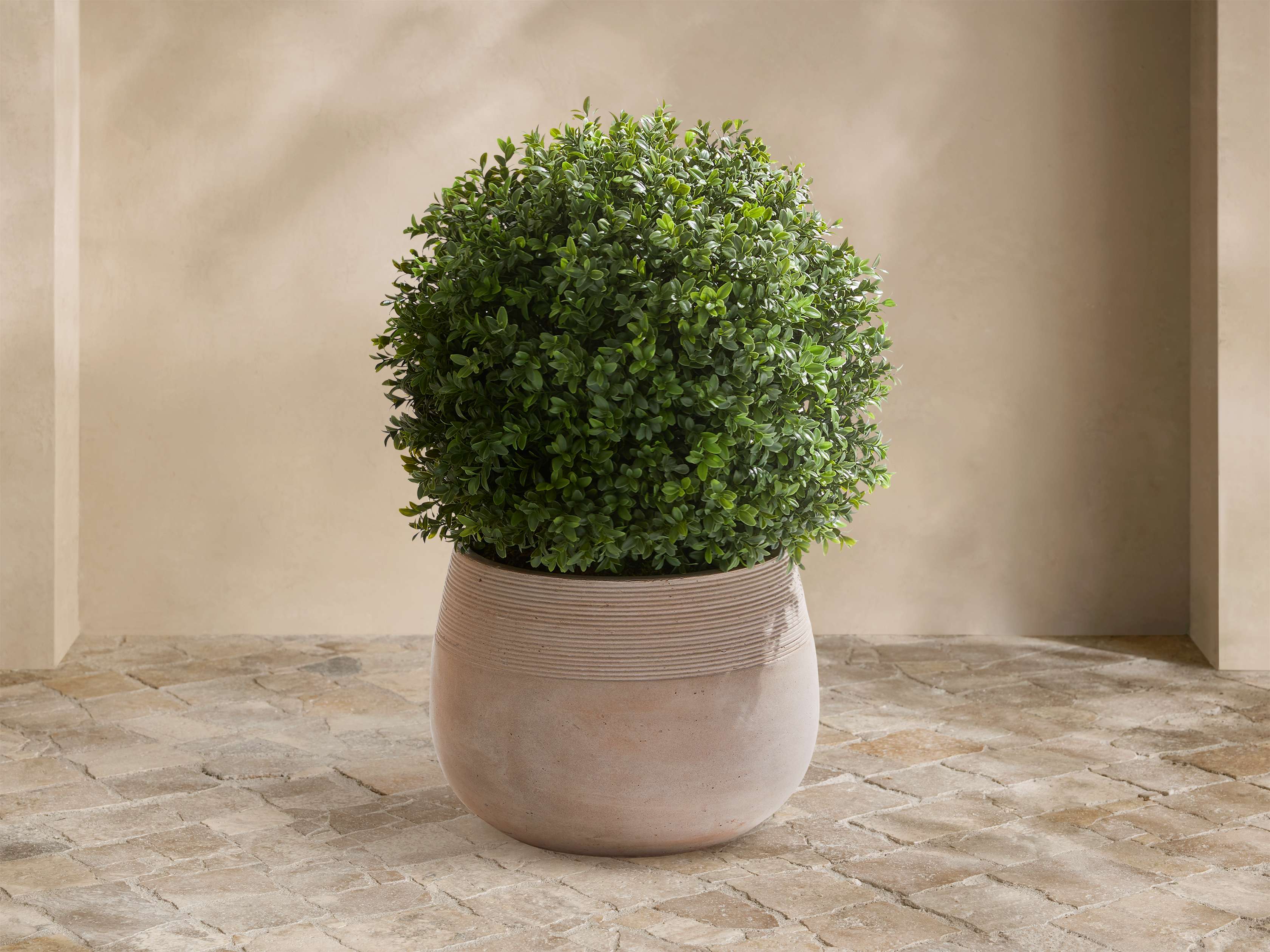Boxwood Small Ribbed Planter