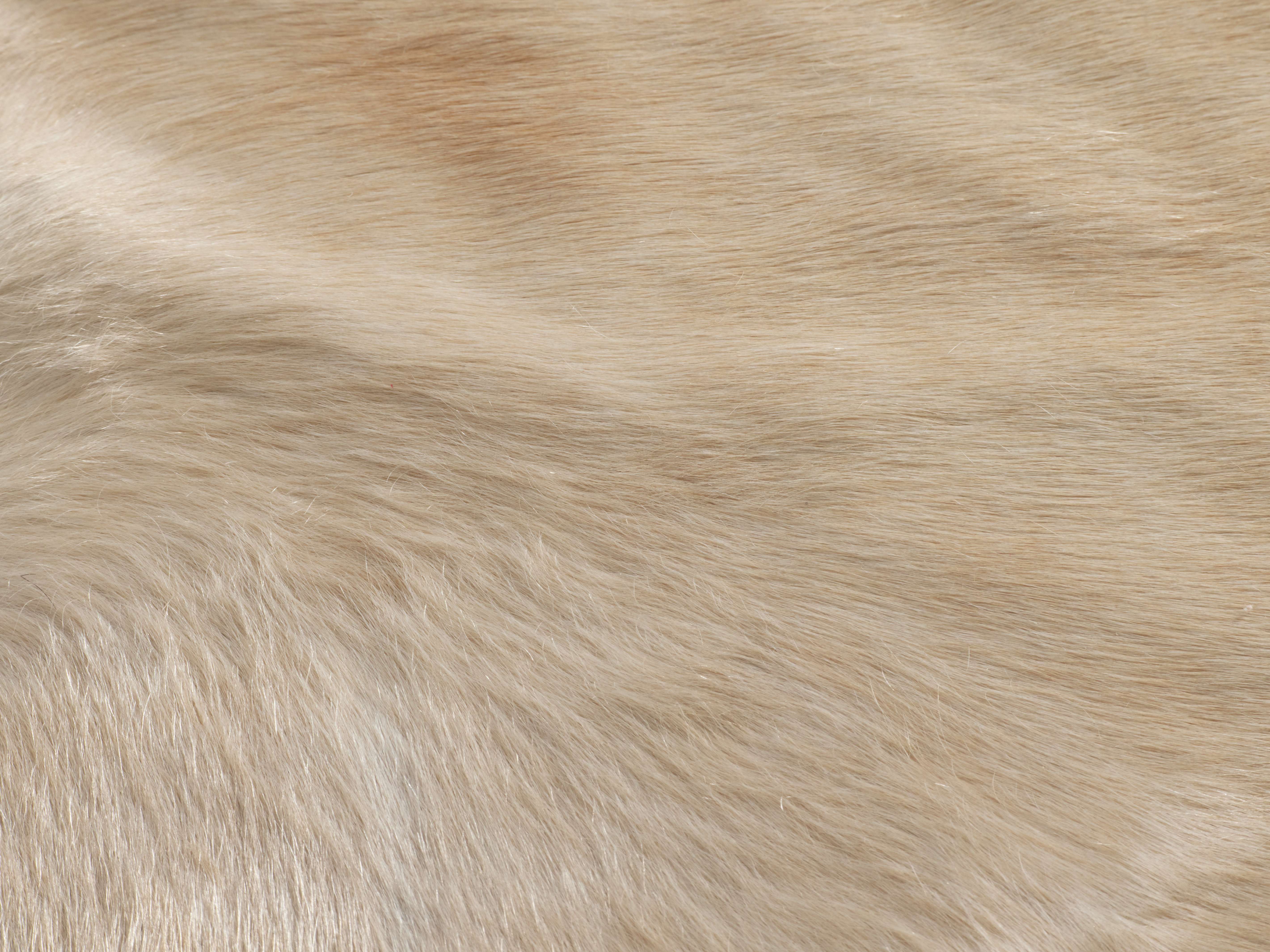 Creme Caramel Hair on Hide Rug - Thumbnail 2