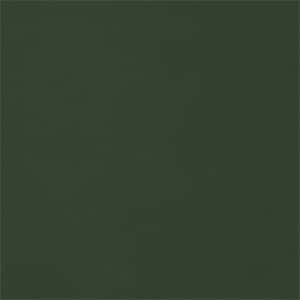 VERDANT GREEN
